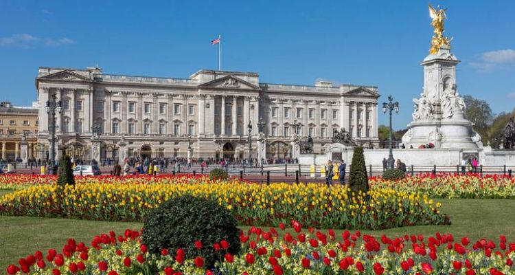 Best Places for Palace in London