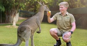 Travel Insurance Covers Refunds on Cancellation of Australia Zoo Tickets